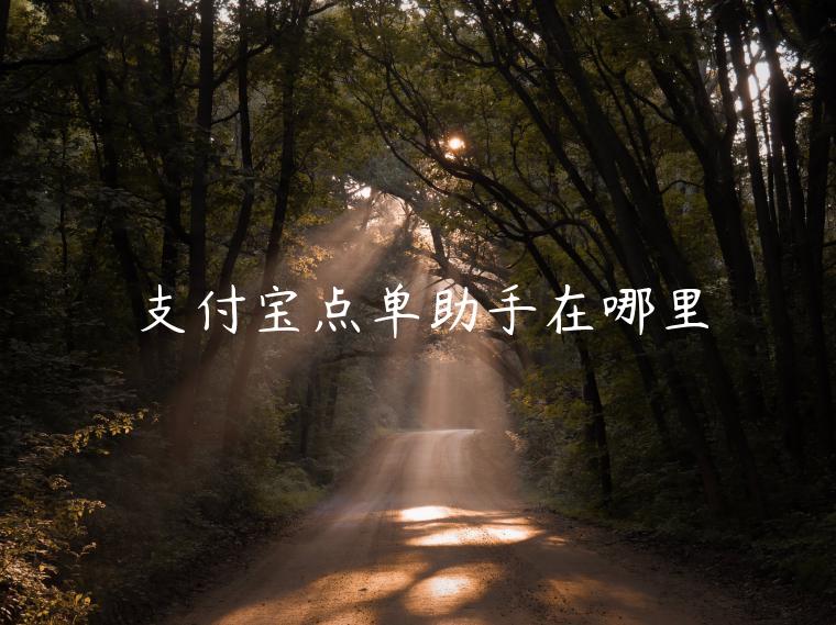 支付寶點(diǎn)單助手在哪里